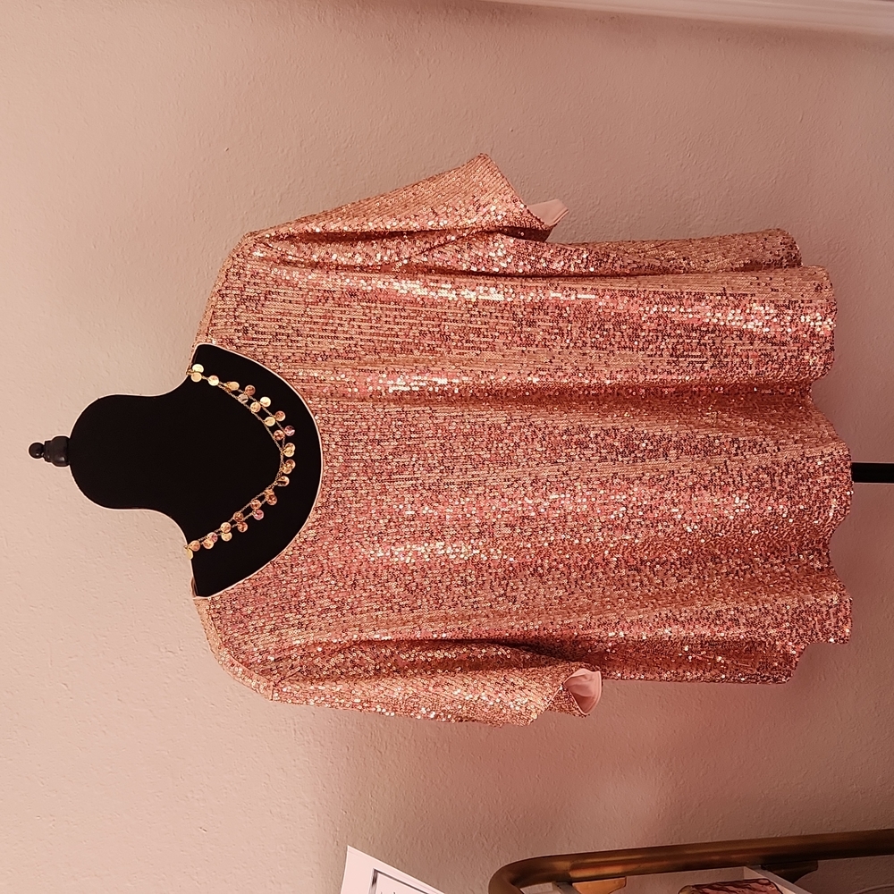 Women's plus sized blush  sequin